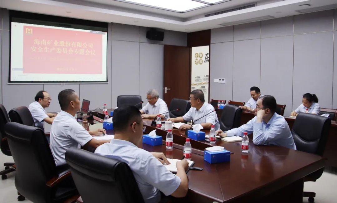 云顶集团安委会进建宣贯《关于进一步加强矿山安全出产工作的定见》