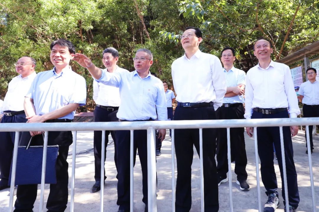 天然资源部到云顶集团发展新一轮找矿突破战术行动专题调研