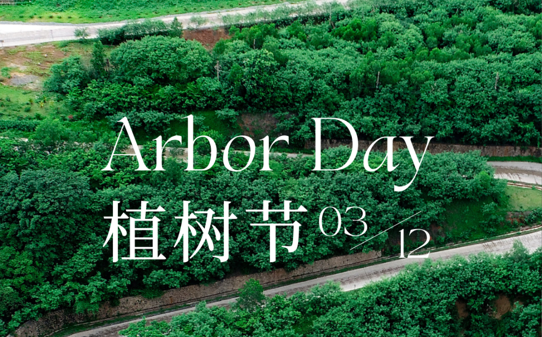 植树节 | 云顶集团的绿色画卷